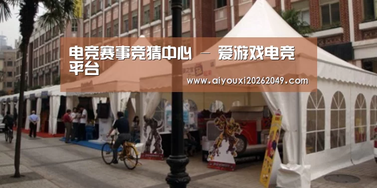 案例标题九