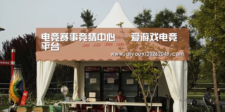 案例标题五