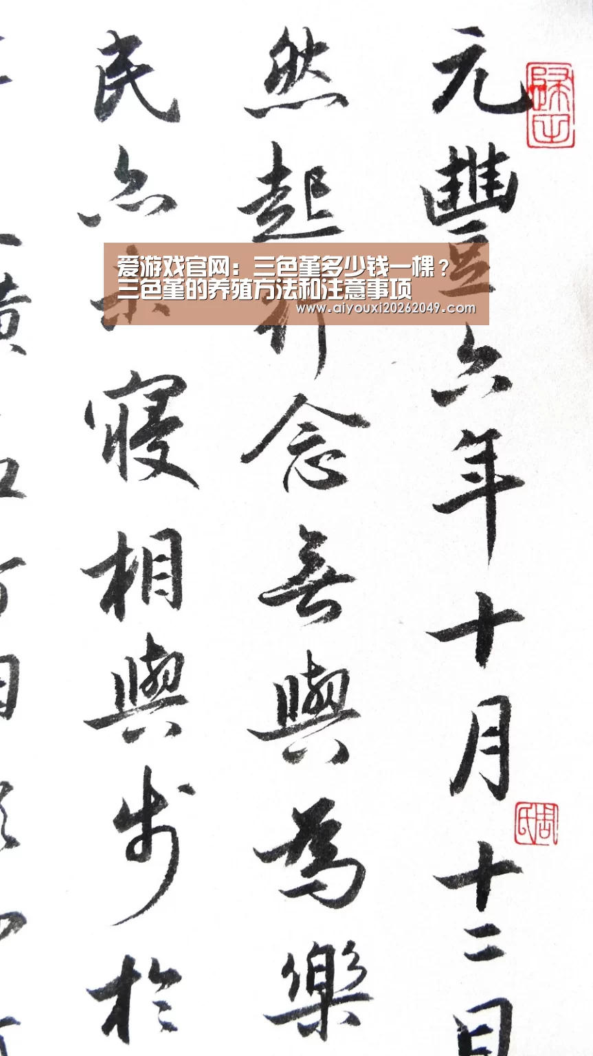 爱游戏视讯