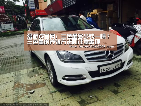 爱游戏体育