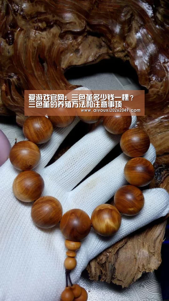 爱游戏视讯