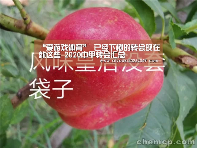 “爱游戏体育”
已经下树的转会现在就这些 2020中甲转会汇总(图2) 爱游戏体育