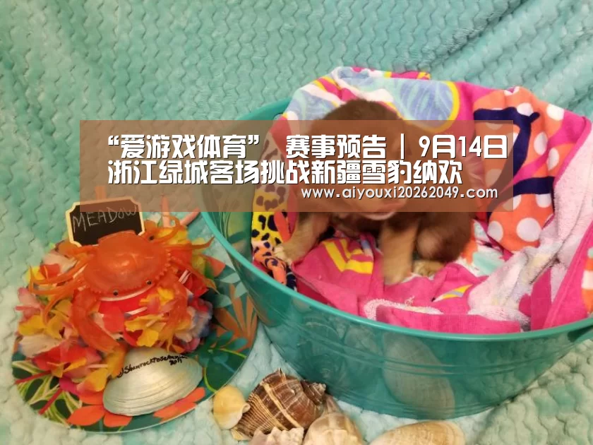 爱游戏视讯