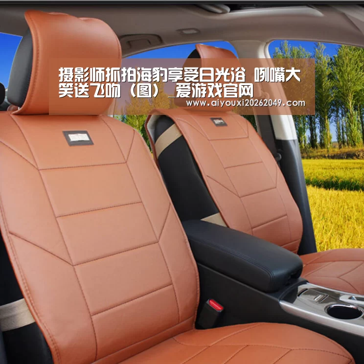 摄影师抓拍海豹享受日光浴 咧嘴大笑送飞吻(图)_爱游戏官网(图2) 爱游戏官网