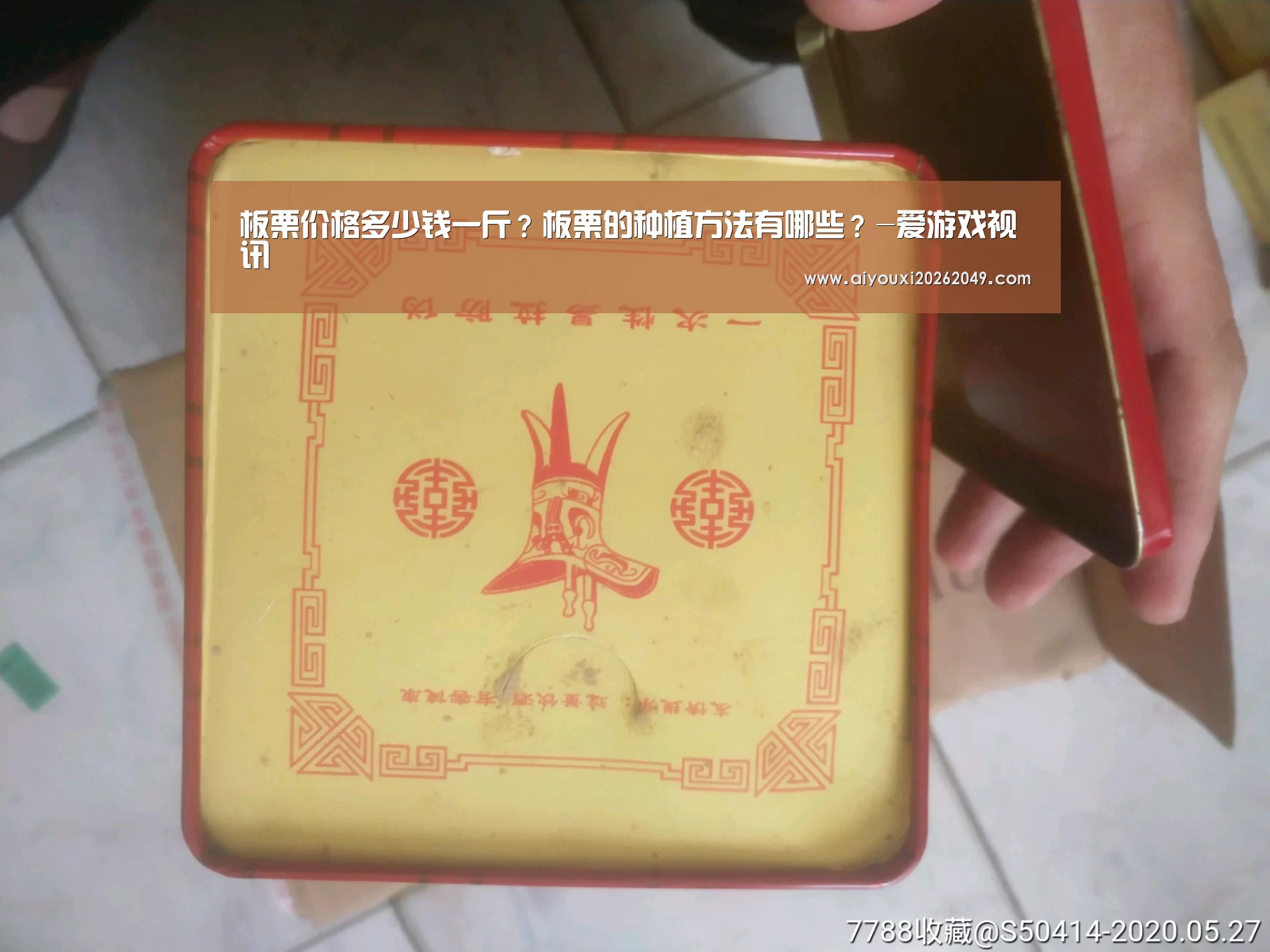 板栗价格多少钱一斤?板栗的种植方法有哪些?-爱游戏视讯(图1) 爱游戏体育