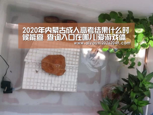 2020年内蒙古成人高考结果什么时候能查 查询入口在哪儿|爱游戏体育(图3) 爱游戏官网